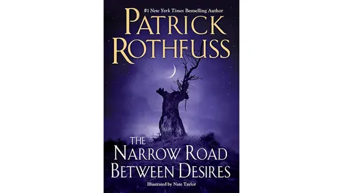 《渴望之间的狭路》小说封面