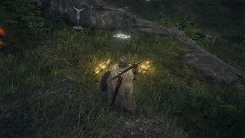 《艾尔登法环》多人合作界面截图