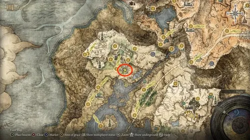 《艾尔登法环》Malenia Boss战截图