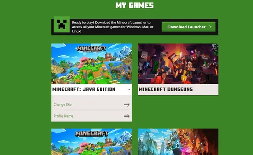 Minecraft游戏截图，展示游戏世界