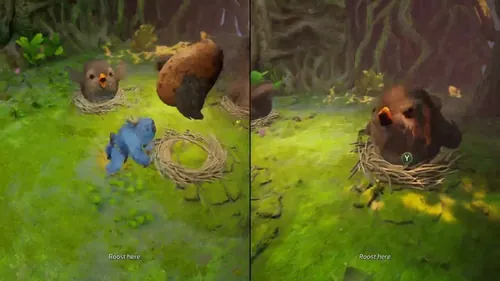 可爱的地下世界鸟类家庭