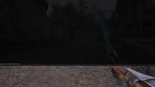 《上古卷轴：遗忘之境》游戏截图