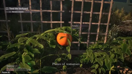 《破碎的花朵》游戏宣传图